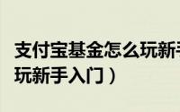 支付宝基金怎么玩新手入门（支付宝基金怎么玩新手入门）