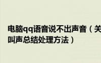 电脑qq语音说不出声音（关于QQ无法正常语音聊天、电脑叫声总结处理方法）