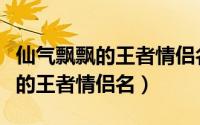 仙气飘飘的王者情侣名（琴瑟和鸣的仙气飘飘的王者情侣名）