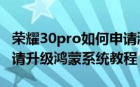 荣耀30pro如何申请鸿蒙系统（荣耀30pro申请升级鸿蒙系统教程）