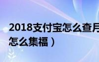 2018支付宝怎么查月收入支出（2018支付宝怎么集福）