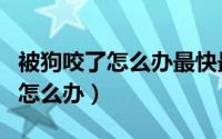 被狗咬了怎么办最快最有效的方法（被狗咬了怎么办）