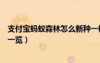 支付宝蚂蚁森林怎么新种一棵树（支付宝蚂蚁森林新增树木一览）