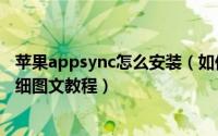 苹果appsync怎么安装（如何安装《AppSync》IPA补丁详细图文教程）