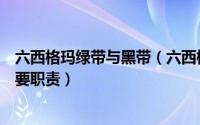 六西格玛绿带与黑带（六西格玛黑带大师、黑带和绿带的主要职责）