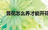 昙花怎么养才能开花结果（养昙花方法）