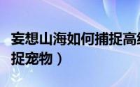 妄想山海如何捕捉高级宠物（妄想山海如何捕捉宠物）