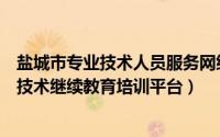 盐城市专业技术人员服务网继续教育平台（盐城市专业人员技术继续教育培训平台）