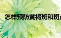 怎样预防黄褐斑和斑点（怎样预防黄褐斑）