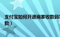 支付宝如何开通商家收款码实体店（支付宝如何开通商家收款）