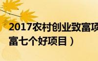 2017农村创业致富项目（2018年农村创业致富七个好项目）