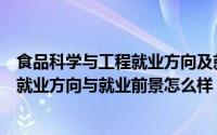 食品科学与工程就业方向及就业前景（食品科学与工程专业就业方向与就业前景怎么样）