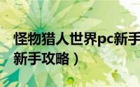 怪物猎人世界pc新手入坑（怪物猎人世界 pc新手攻略）