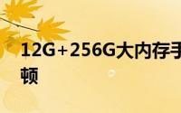 12G+256G大内存手机推荐：长期使用不卡顿