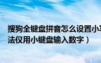 搜狗全键盘拼音怎么设置小写字母（如何设置新浪拼音输入法仅用小键盘输入数字）