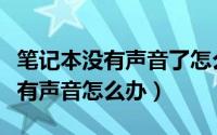 笔记本没有声音了怎么恢复win10（笔记本没有声音怎么办）