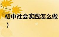 初中社会实践怎么做（初中社会实践怎么填写）