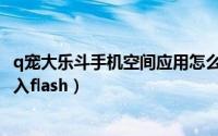 q宠大乐斗手机空间应用怎么进入（q宠大乐斗怎么用手机进入flash）