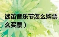 迷笛音乐节怎么购票（深圳跨年迷笛音乐节怎么买票）