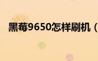 黑莓9650怎样刷机（黑莓9650怎么下载）