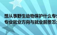 想从事野生动物保护什么专业（野生动物与自然保护区管理专业就业方向与就业前景怎么样）