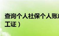 查询个人社保个人账户缴费明细（查询个人电工证）