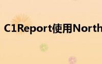 C1Report使用NorthWind数据库显示数据