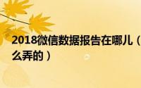 2018微信数据报告在哪儿（2019微信数据报告在哪查看怎么弄的）