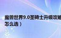 魔兽世界9.0圣骑士升级攻略（魔兽7.0圣骑士职业大厅升级怎么选）