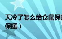 天冷了怎么给仓鼠保暖（冬天如何给仓鼠进行保暖）