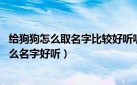 给狗狗怎么取名字比较好听呢（怎么给狗狗取名字 小狗取什么名字好听）