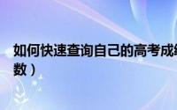 如何快速查询自己的高考成绩（如何快速查询自己的高考分数）