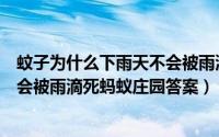 蚊子为什么下雨天不会被雨滴砸死（为什么下雨天时蚊子不会被雨滴死蚂蚁庄园答案）