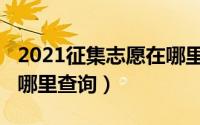 2021征集志愿在哪里填报（2021征集志愿在哪里查询）