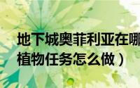 地下城奥菲利亚在哪（DNF奥菲利亚的木本植物任务怎么做）