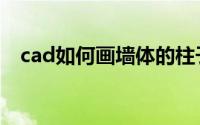 cad如何画墙体的柱子（cad如何画墙体）