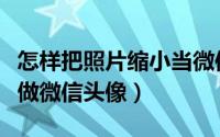 怎样把照片缩小当微信头像（怎么把照片缩小做微信头像）