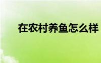 在农村养鱼怎么样（在农村养鱼好吗）