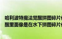 哈利波特魔法觉醒拼图碎片位置攻略大全（哈利波特魔法觉醒里面像是在水下拼图碎片位置）