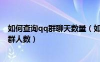 如何查询qq群聊天数量（如何查看QQ群每天聊天人数及加群人数）