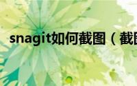 snagit如何截图（截图软件Snagit的使用）