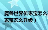 魔兽世界传家宝怎么升级到120（魔兽世界传家宝怎么升级）