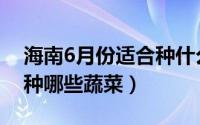 海南6月份适合种什么蔬菜（海南6月份适合种哪些蔬菜）