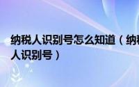 纳税人识别号怎么知道（纳税人识别号是什么怎么查询纳税人识别号）