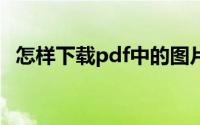 怎样下载pdf中的图片（怎样下载PC软件）