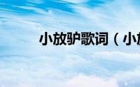 小放驴歌词（小放驴歌词是什么）