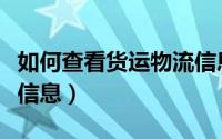 如何查看货运物流信息（怎样查看快递的货运信息）