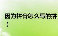 因为拼音怎么写的拼（因为怎么拼音怎么拼写）