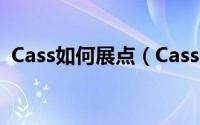 Cass如何展点（Cass几种展点方式的区别）