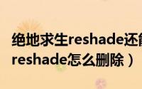 绝地求生reshade还能用吗（绝地求生测试服reshade怎么删除）